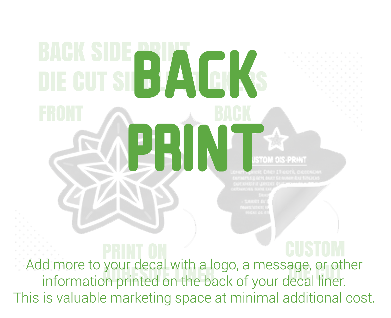 Back Print Summary