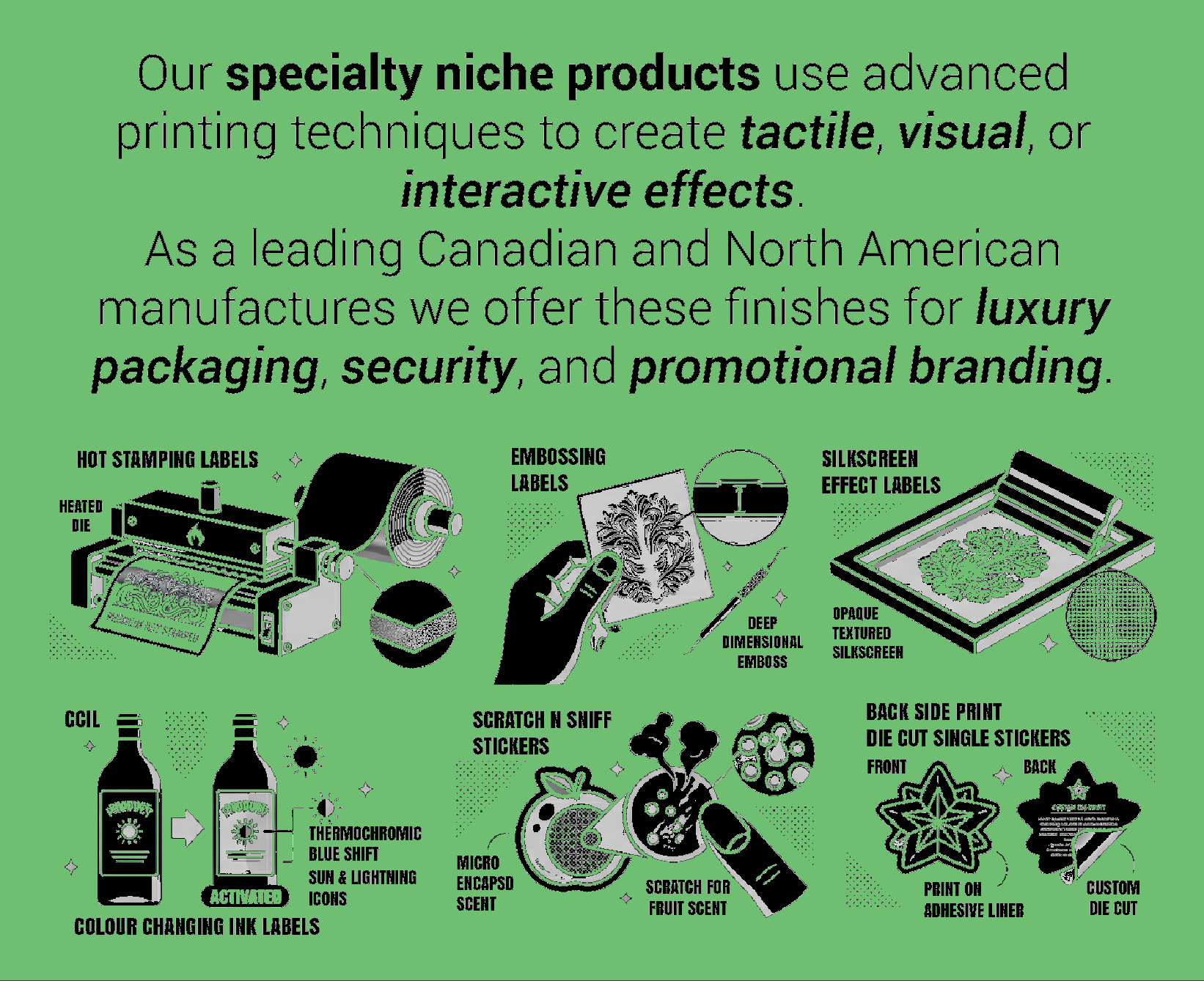Specialty Niche Products options